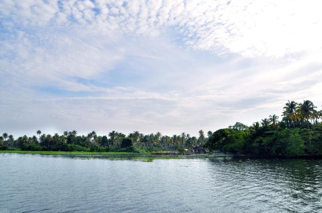 Saro Lake County Kumarakom Szoba fotó