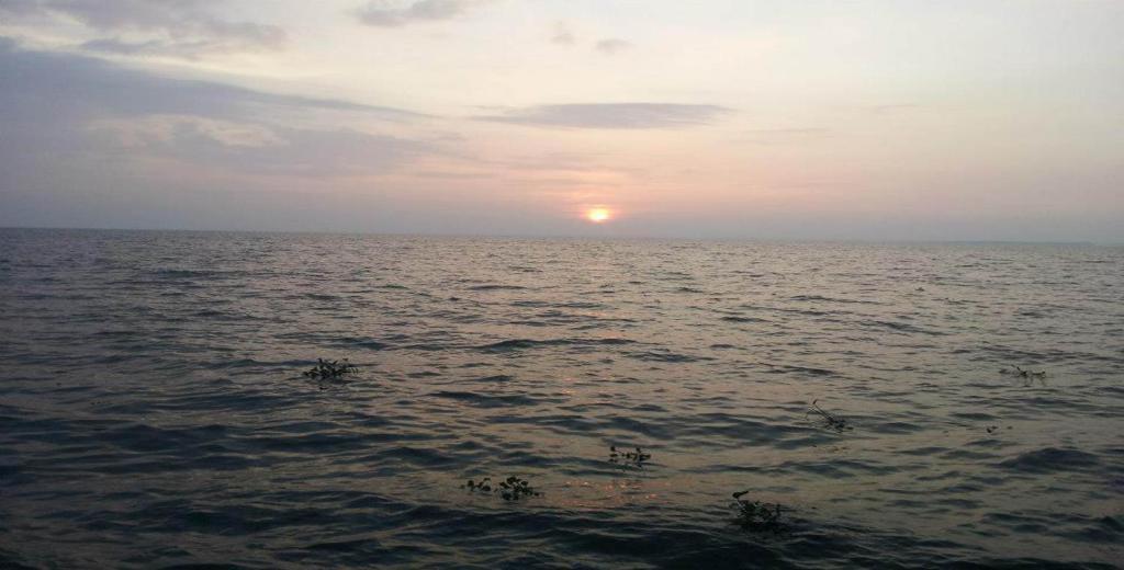Saro Lake County Kumarakom Kültér fotó