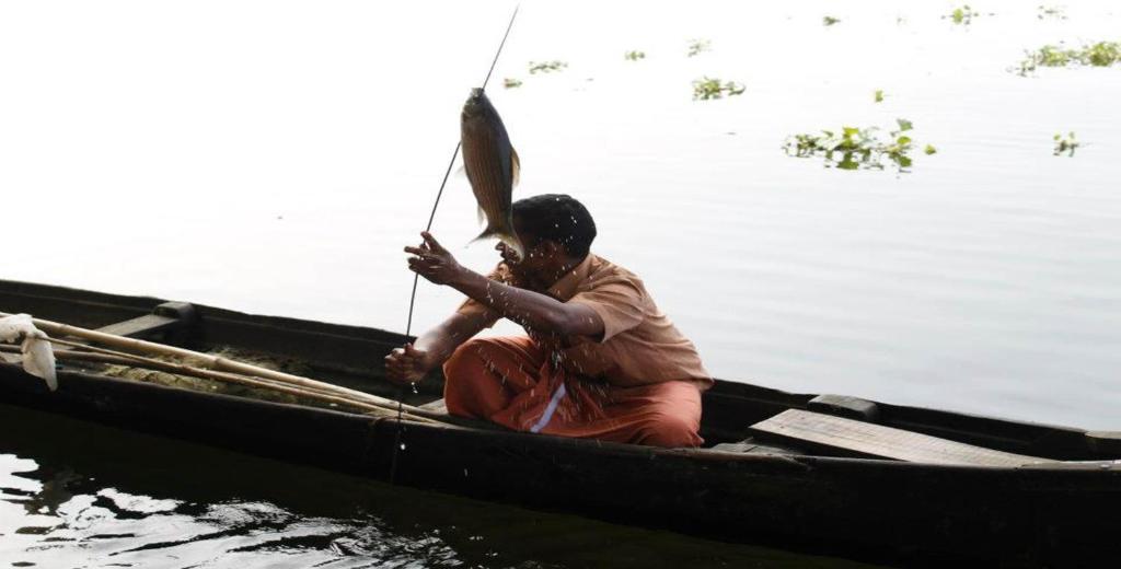 Saro Lake County Kumarakom Kültér fotó