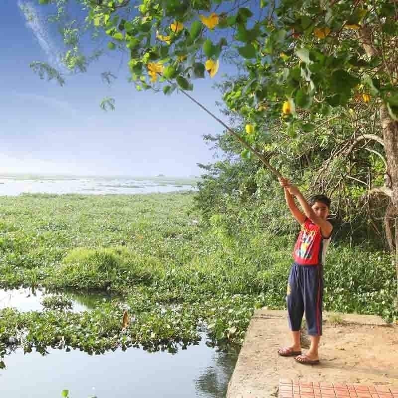 Saro Lake County Kumarakom Kültér fotó